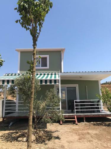 Lavender Tiny Houses