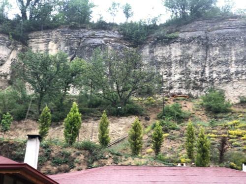 Safranboluda Dag Evi