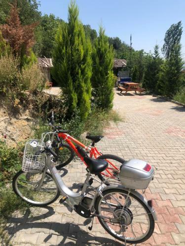 Safranboluda Dag Evi
