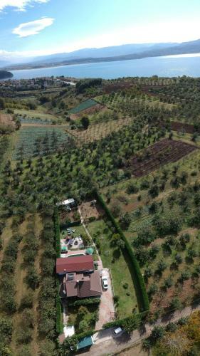 Villa Ye?il Bah�e �iftlik Evi