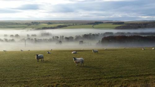Hostal Redesdale Arms
