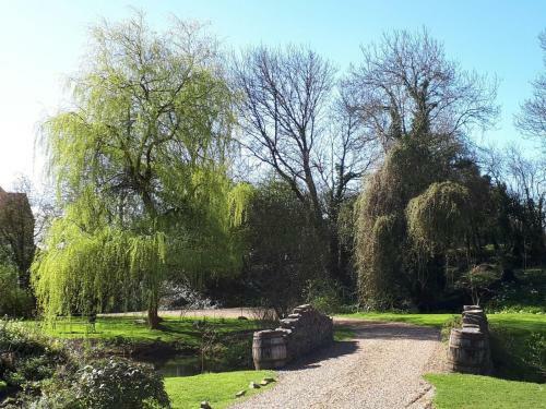Bed & Breakfast Glyndwr Vineyard