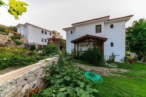 Jasmin Villa With Pool Daily Weekly Rentals