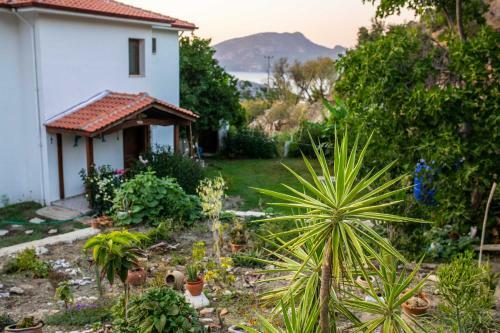 Jasmin Villa With Pool Daily Weekly Rentals
