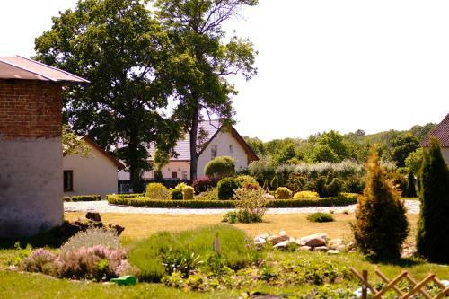 Bed & Breakfast Siedlisko Kierzkowo