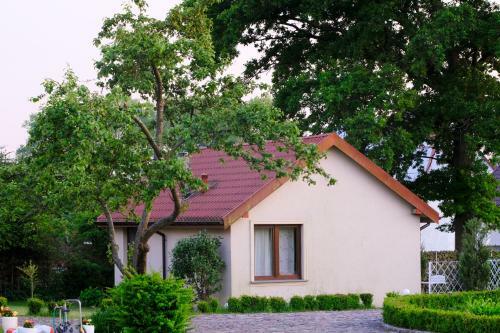 Bed & Breakfast Siedlisko Kierzkowo