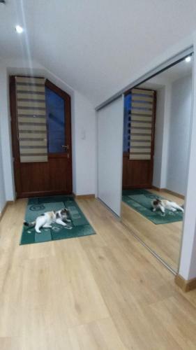 Apartamento Dom Na Pag�rku Pod Lip?