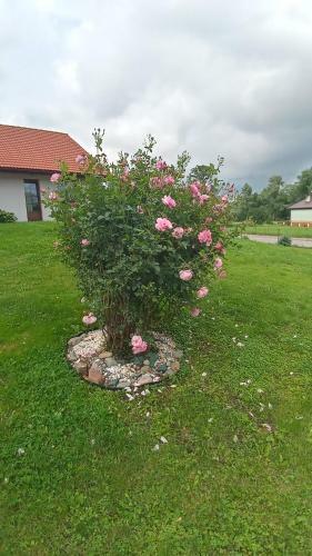 Apartamento Dom Na Pag�rku Pod Lip?