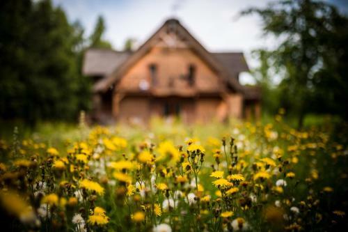 Bed & Breakfast Brzozowy Gaj
