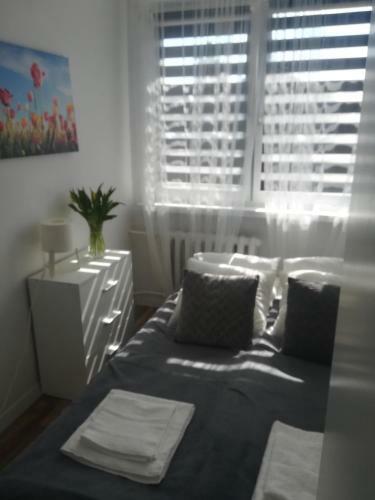 Mi?towy Zak?tek Apartment
