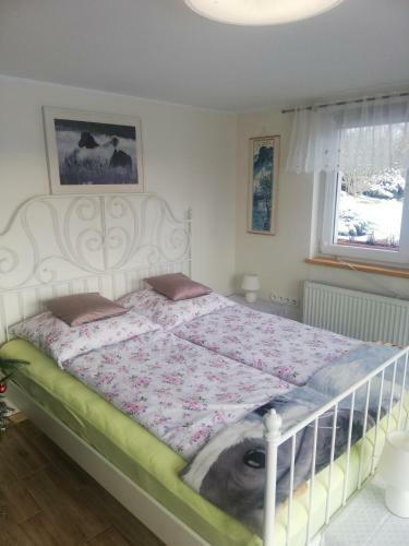 Apartament Bukowy