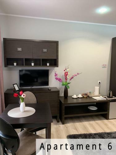 Apartamento Willa Przy Czarnej Bramie