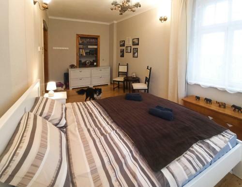 Apartament Wyspa Piasek