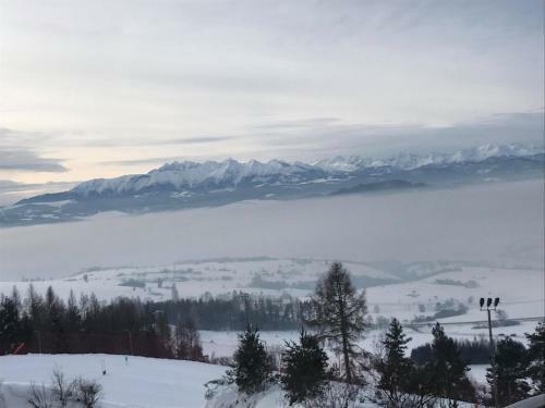 Apartamento Willapieninska