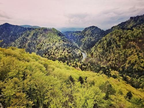 Lodge Ca?oroczne Domki W Mizernej