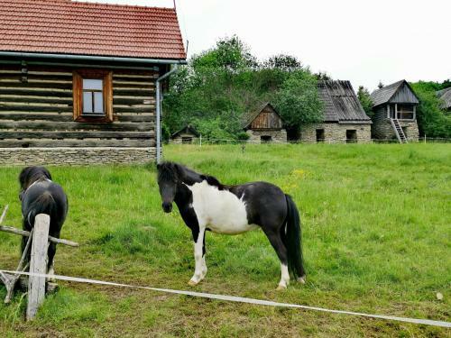 Lodge Ca?oroczne Domki W Mizernej