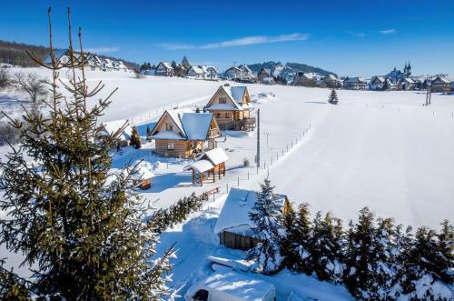 Lodge Ca?oroczne Domki W Mizernej