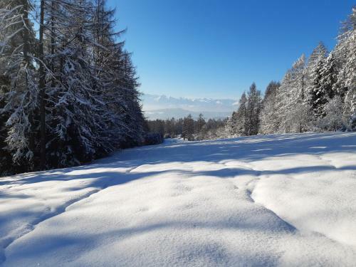 Apartament Modrzewiowy Raj