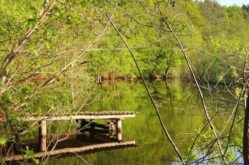Holiday Home, Kolczewo