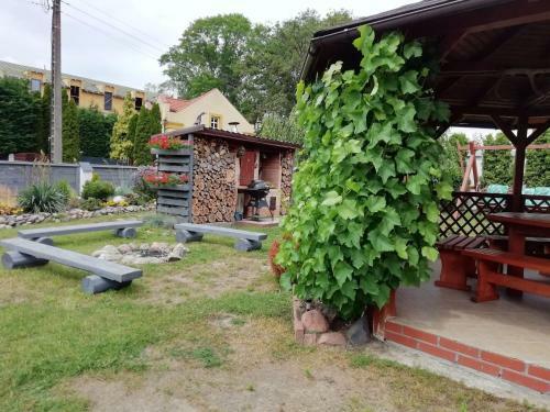 Holiday Homes Under The Willow Tree, Kolczewo