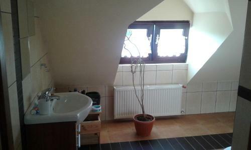 Apartament "kompas"