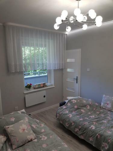 Apartament Polonia