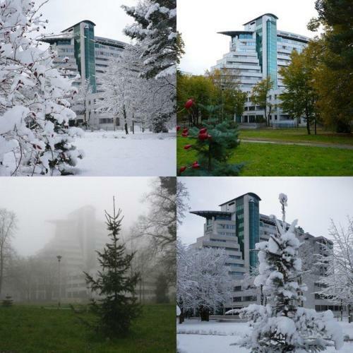 Apartament Polonia
