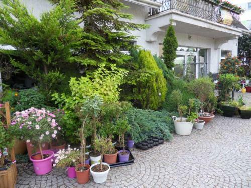 Apartamento Kolobrzeg Willa Nad Parseta