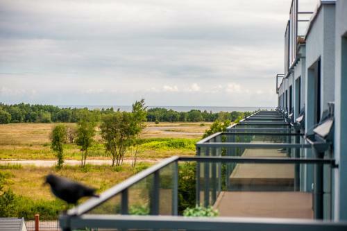 Apartament Blue Point 406 Premium
