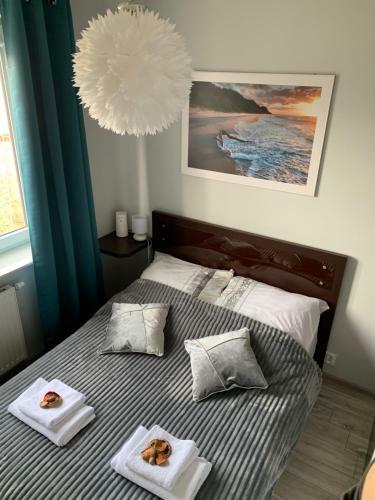 Apartament Ba?tycka 17b