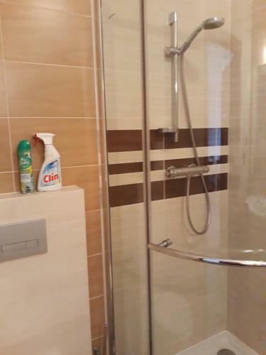 Apartament Pozna?ski