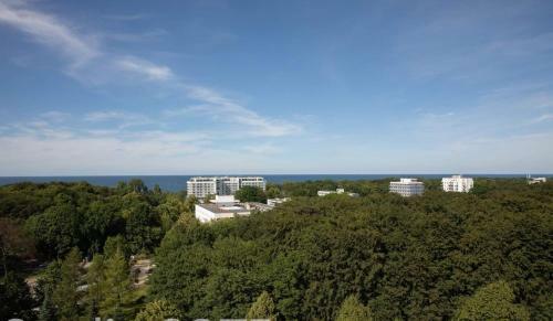 Apartament Papillon