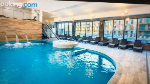 Apartament Holenderski Feniks