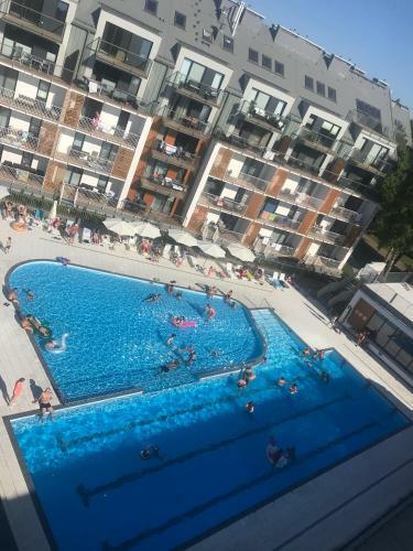 Apartament Holenderski Feniks