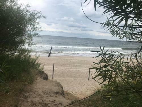 Apartament Holland Feniks