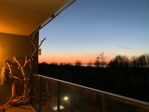 Apartament Holland Feniks