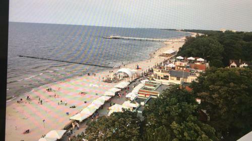 Apartament Holland Feniks