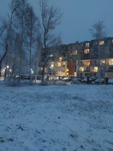 Apartament Holland Feniks