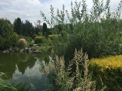 Arka Apartament 723b