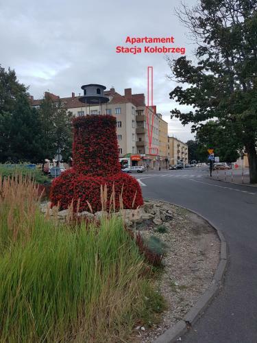 Apartament Stacja Dworcowa