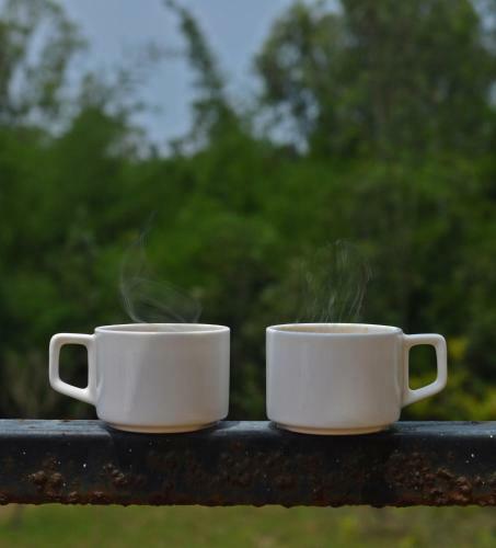 Hotel Coorg Maharaja Resort And Spa