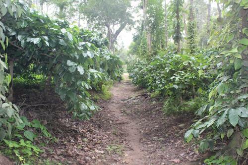 Whistling Woods Farm Stay