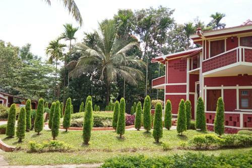 Hotel Coorg Jungle Kids Resort