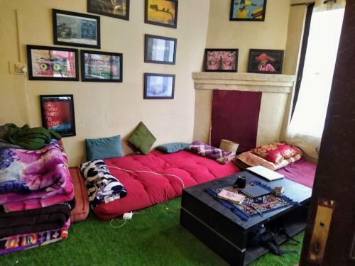 Bed & Breakfast Triundview Camps And Homestay