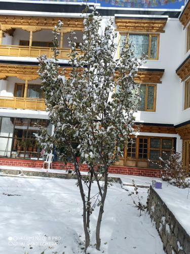 Hostal Rock Castle Residency