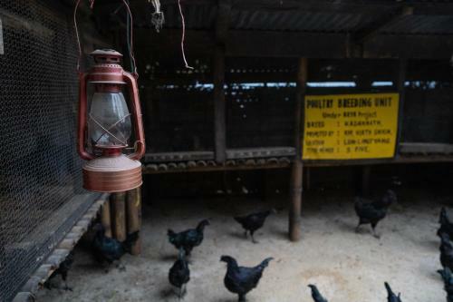 Notonmap - Lum Tshering Organic Farm