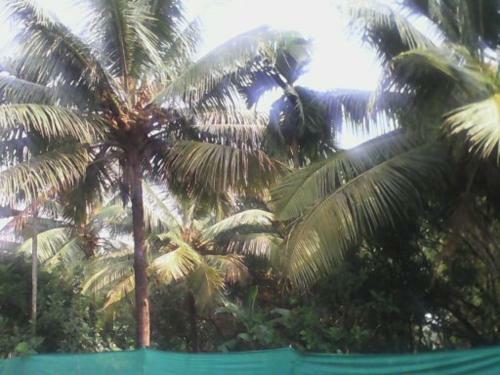 Apartamento Sachin Restzone
