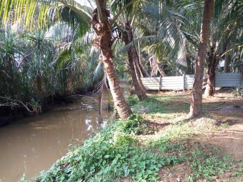 Mandrem Restzone 4bhk