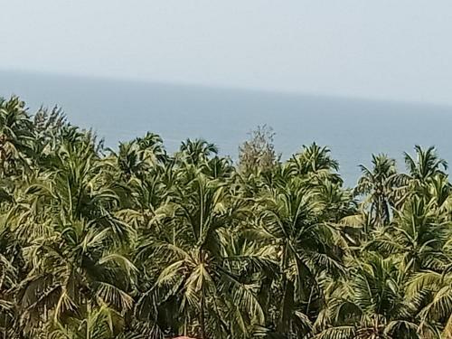 Silver Waves Hotels And Resorts