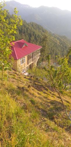 Apartamento Shanti Jungle Cottage